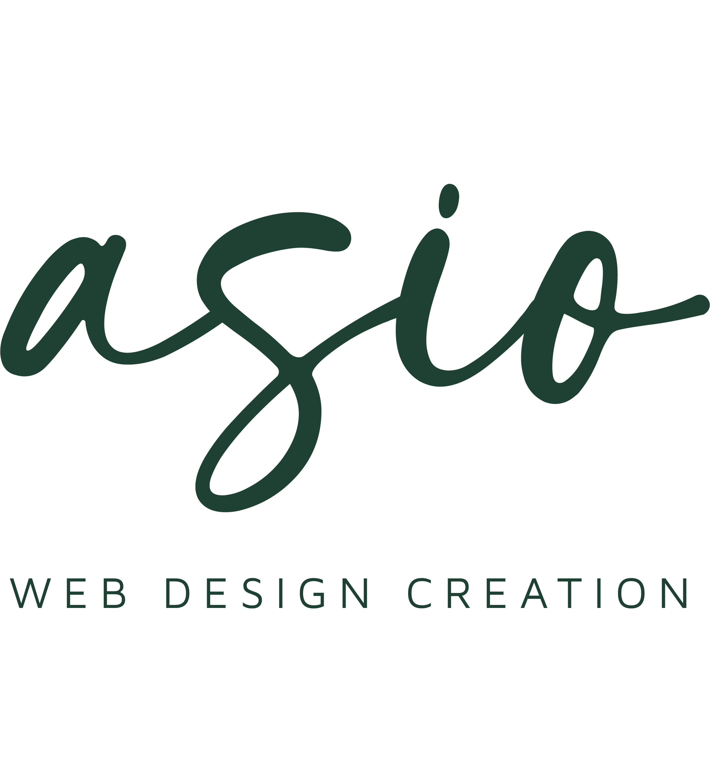 logo asio Web design